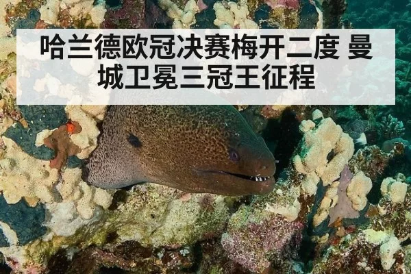 哈兰德欧冠决赛梅开二度 曼城卫冕三冠王征程